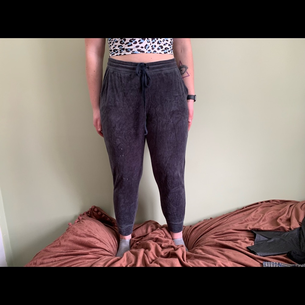 Aerie velour joggers